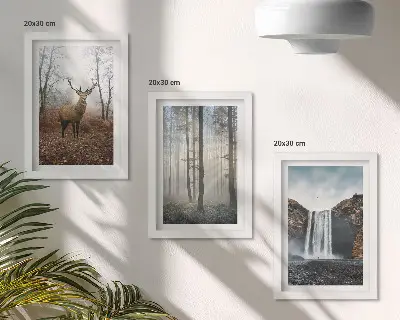 Gallery wall met boslandschappen, wilde natuur en herten
