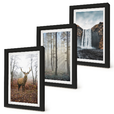 Gallery wall Boslandschappen, wilde natuur, herten