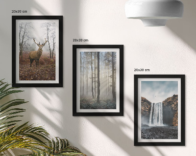 Gallery wall Boslandschappen, wilde natuur, herten