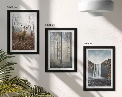 Gallery wall met boslandschappen, wilde natuur en herten