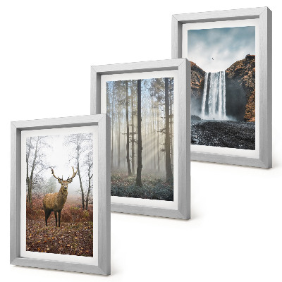 Gallery wall Boslandschappen, wilde natuur, herten