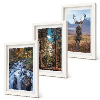 Gallery wall Waterval in het bos, bergen en herten in de natuur