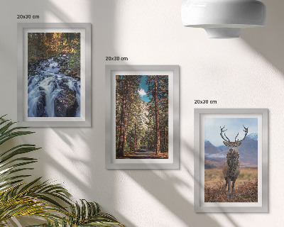 Gallery wall Waterval in het bos, bergen en herten in de natuur