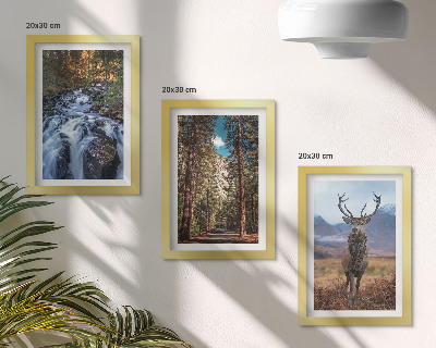Gallery wall Waterval in het bos, bergen en herten in de natuur