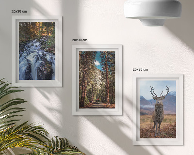 Gallery wall Waterval in het bos, bergen en herten in de natuur