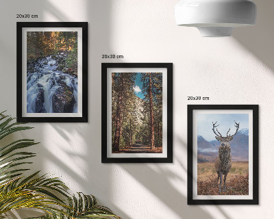 Gallery wall Waterval in het bos, bergen en herten in de natuur