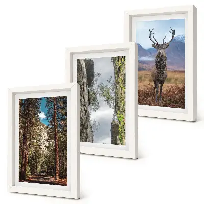 Set van ingelijste schilderijen met een weg door het bos met bergen en herten in de natuur