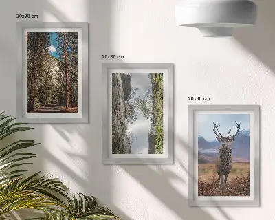 Set van ingelijste schilderijen met een weg door het bos met bergen en herten in de natuur