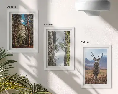 Set van ingelijste schilderijen met een weg door het bos met bergen en herten in de natuur