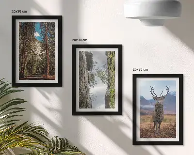 Set van ingelijste schilderijen met een weg door het bos met bergen en herten in de natuur