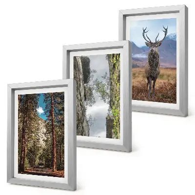 Set van ingelijste schilderijen met een weg door het bos met bergen en herten in de natuur