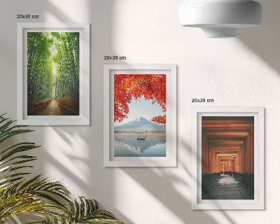 Gallery wall Bamboebos, torii-pad naar de berg Fuji, landschappen van Japan