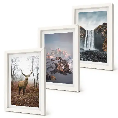 Gallery wall met natuurlijke ongerepte landschappen van bergen herten en watervallen