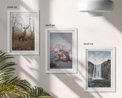 Gallery wall Natuurlijke, ongerepte landschappen, bergen, herten en watervallen.