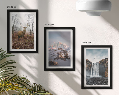 Gallery wall Natuurlijke, ongerepte landschappen, bergen, herten en watervallen.
