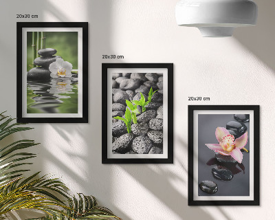 Set van ingelijste schilderijen Een vredige zen-compositie van stenen en bloemen op water.