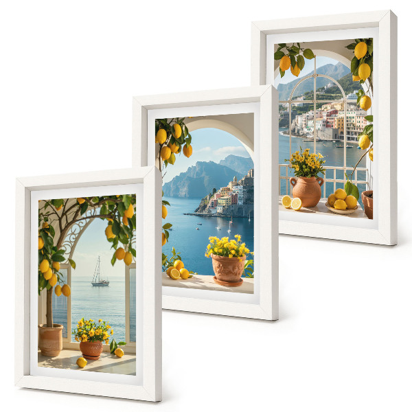 Gallery wall Citroenen en bloemen in potten in een kustplaats.