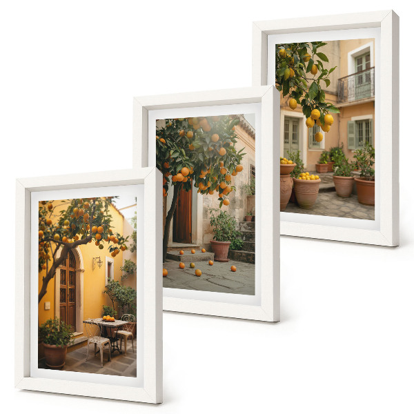 Gallery wall Een tuin met citrusbomen op een zonnige locatie.