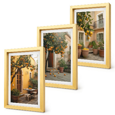 Gallery wall Een tuin met citrusbomen op een zonnige locatie.