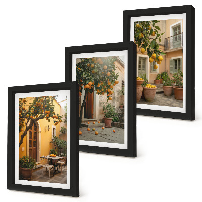 Gallery wall Een tuin met citrusbomen op een zonnige locatie.