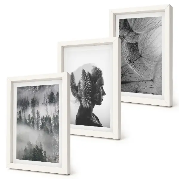 Gallery wall met bos in de mist, portret van bomen en een delicate paardenbloem