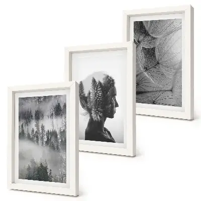 Gallery wall met bos in de mist, portret van bomen en een delicate paardenbloem