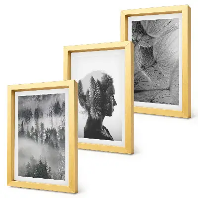 Gallery wall met bos in de mist, portret van bomen en een delicate paardenbloem