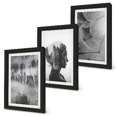 Gallery wall Bos in de mist, portret met bomen, delicate paardenbloem