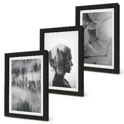 Gallery wall met bos in de mist, portret van bomen en een delicate paardenbloem