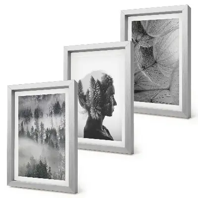 Gallery wall met bos in de mist, portret van bomen en een delicate paardenbloem