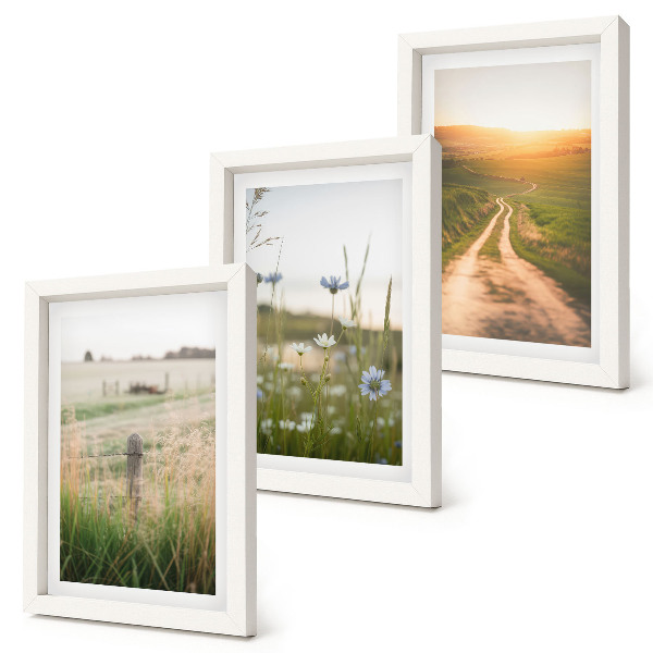 Gallery wall Natuurlandschappen met velden en een pad in de zon.