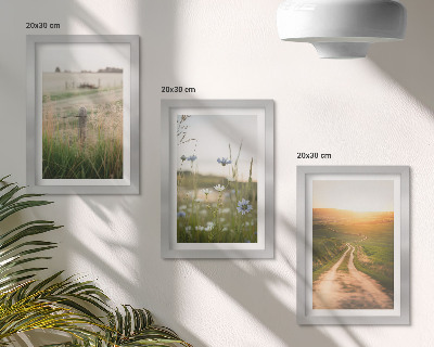 Gallery wall Natuurlandschappen met velden en een pad in de zon.
