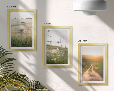 Gallery wall Natuurlandschappen met velden en een pad in de zon.