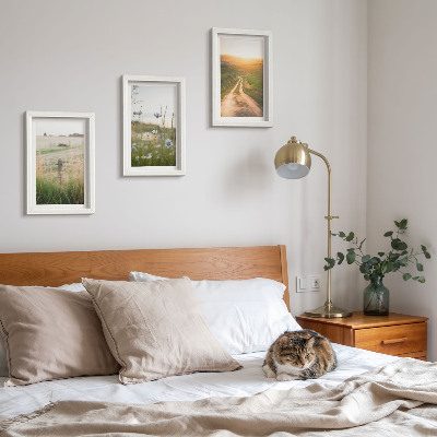 Gallery wall Natuurlandschappen met velden en een pad in de zon.