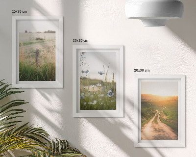 Gallery wall Natuurlandschappen met velden en een pad in de zon.