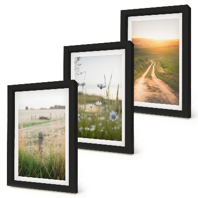 Gallery wall Natuurlandschappen met velden en een pad in de zon.