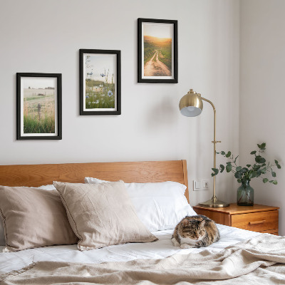 Gallery wall Natuurlandschappen met velden en een pad in de zon.