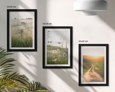Gallery wall Natuurlandschappen met velden en een pad in de zon.
