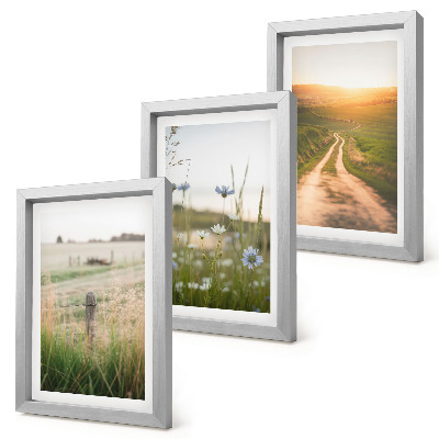 Gallery wall Natuurlandschappen met velden en een pad in de zon.