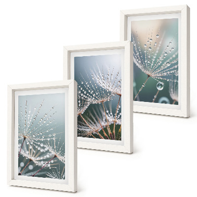 Set van ingelijste schilderijen Waterdruppels op de tere spruitjes van paardenbloemen.