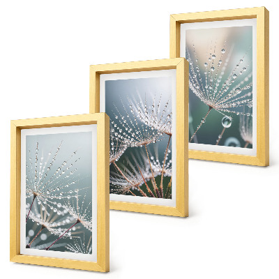 Set van ingelijste schilderijen Waterdruppels op de tere spruitjes van paardenbloemen.
