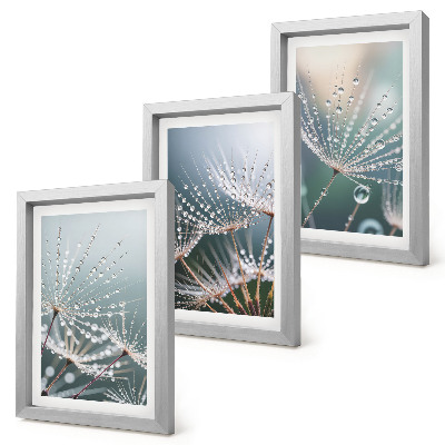 Set van ingelijste schilderijen Waterdruppels op de tere spruitjes van paardenbloemen.