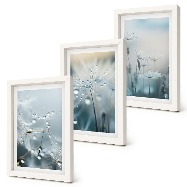 Gallery wall Dauwdruppels op tere paardenbloemen