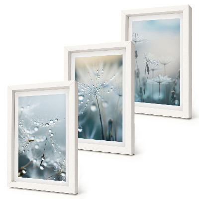Gallery wall Dauwdruppels op tere paardenbloemen