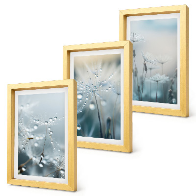 Gallery wall Dauwdruppels op tere paardenbloemen