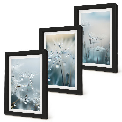 Gallery wall Dauwdruppels op tere paardenbloemen