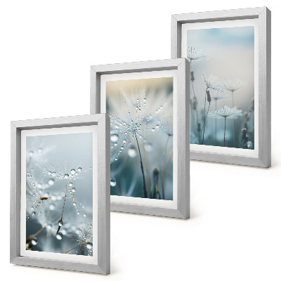 Gallery wall Dauwdruppels op tere paardenbloemen