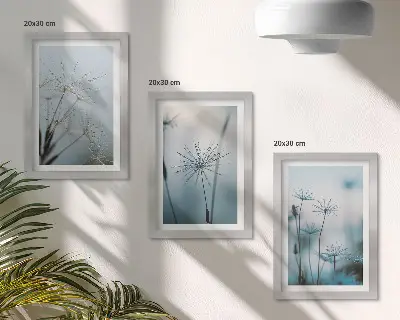 Set ingelijste schilderijen teere paardenbloemen met waterdruppels