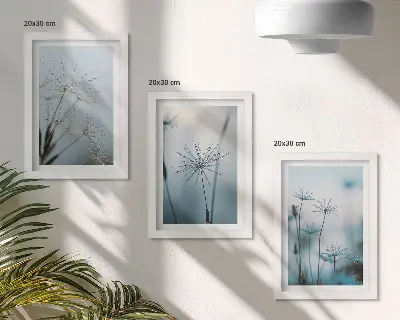 Set ingelijste schilderijen teere paardenbloemen met waterdruppels