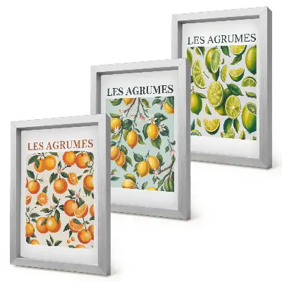 Gallery wall met fruitige citruspatronen in pastelkleuren